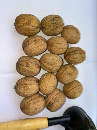 1kg premium quality in shell walnuts  Home & Kitchen