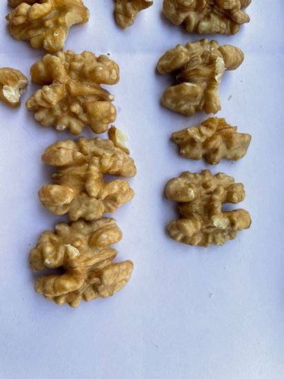 1kg premium quality in shell walnuts  Home & Kitchen