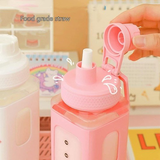 700ml Kawaii Water Bottle with Straw and Sticker Outdoor