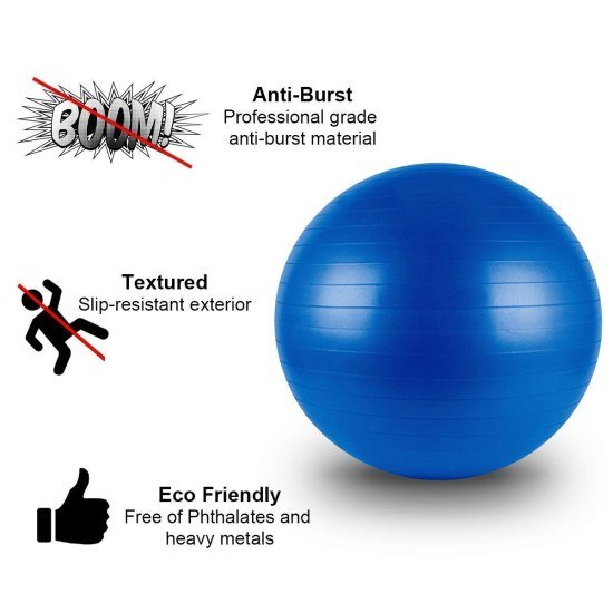 Exercise Gym Ball 75cm with Pump Gym accessories
