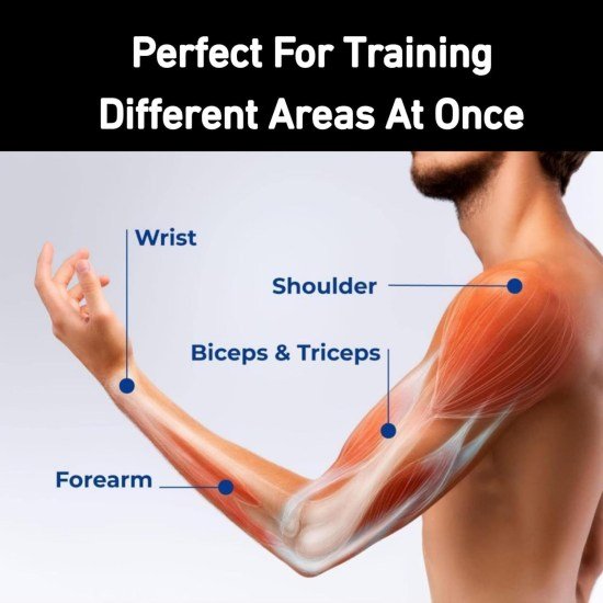 Gyro Ball Sports & Fitness