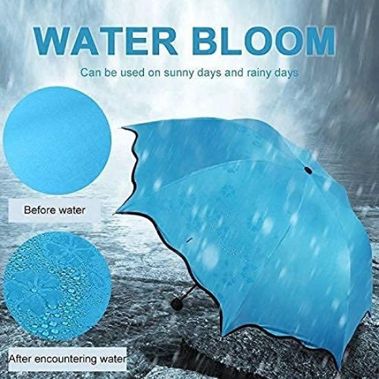 Magic Umbrella  Outdoor