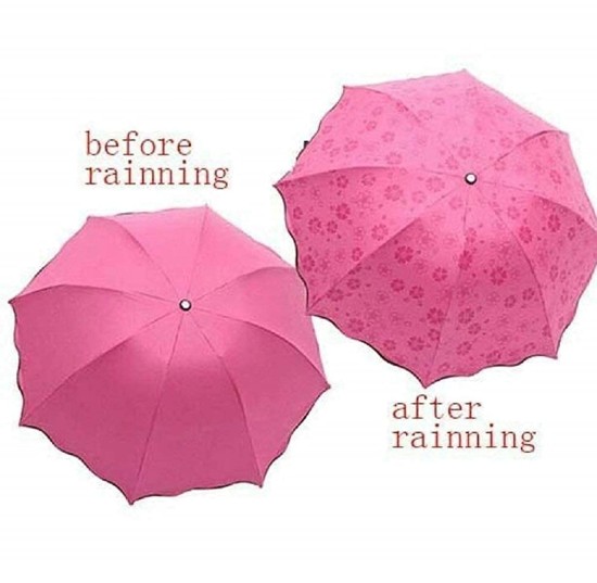 Magic Umbrella  Outdoor