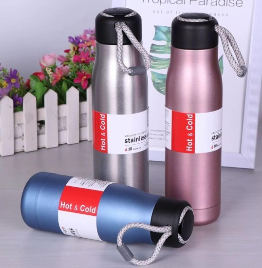 SS Vacuum Insulated Bottle 500ml Home & Kitchen
