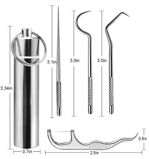 Toothpick Teeth Cleaner Set  Personal Care